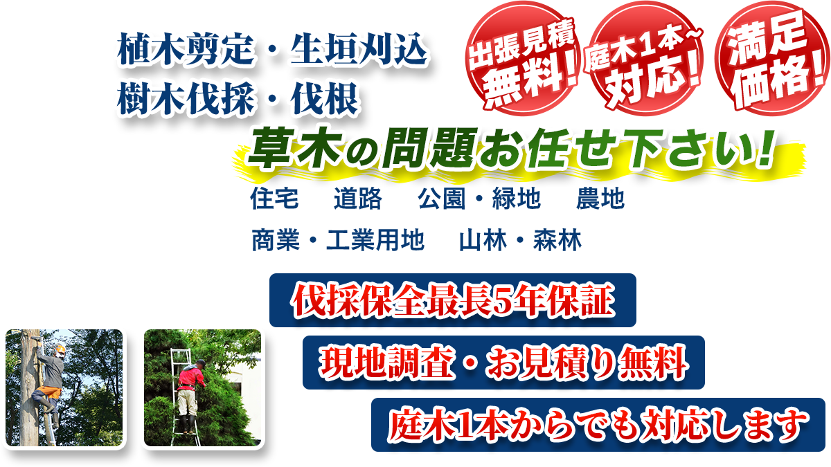 福岡市エリアエリア即対応!! 出張無料! 庭木1本~対応! 満足価格! 植木剪定・生垣刈込 樹木伐採・伐根 草木の問題お任せ下さい! 住宅 道路 公園・緑地 農地 商業・工業用他 山林・森林 伐採保全最長5年保証 現地調査・お見積り無料 庭木1本からでも対応します